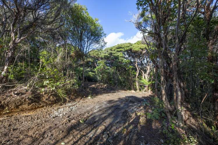 14 La Trobe Track Karekare_8