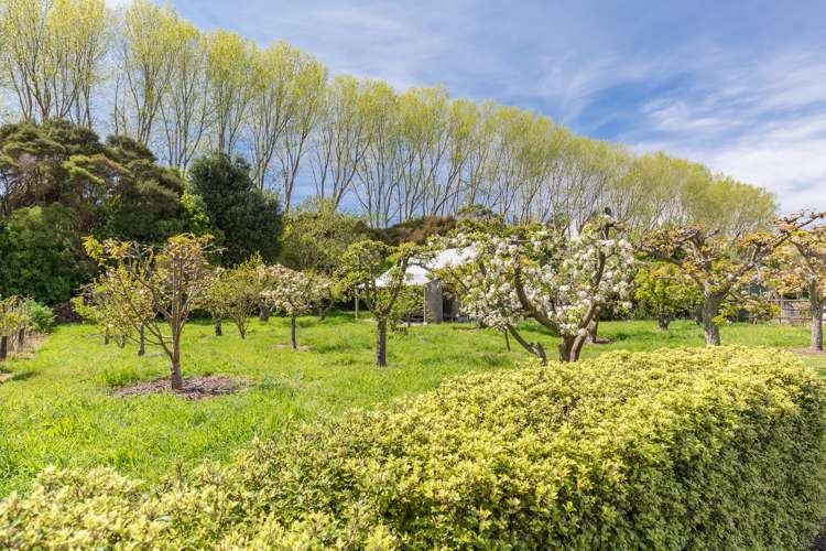 173 Tangmere Road Takaka_13