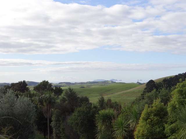 206 Kauri Mountain Road Taiharuru_3