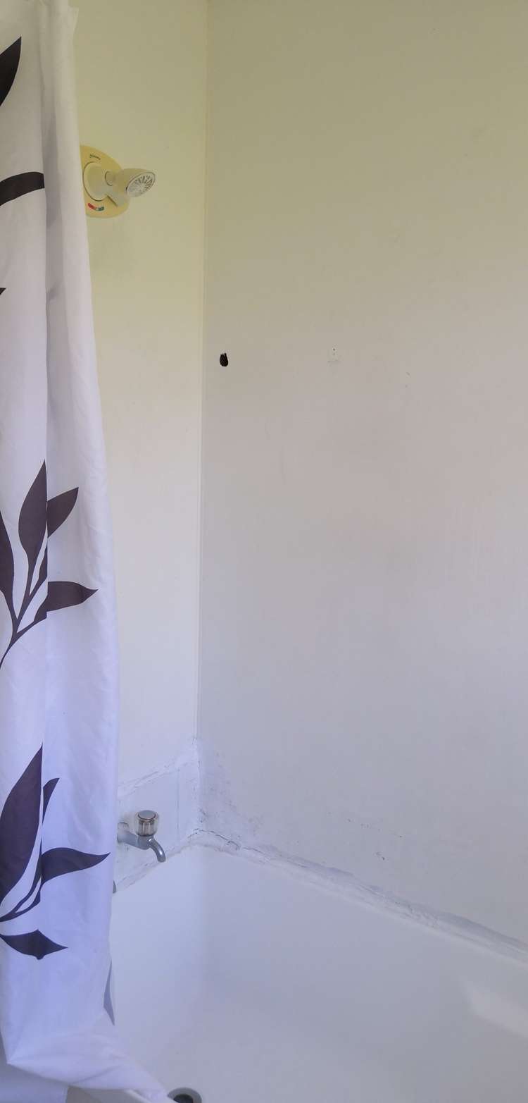 34B Edgeworth Rd Glenfield_8