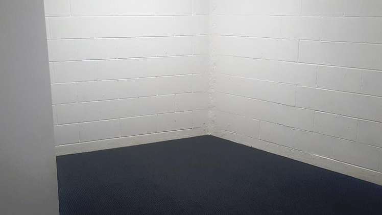 78A Ranui Street Dinsdale_5