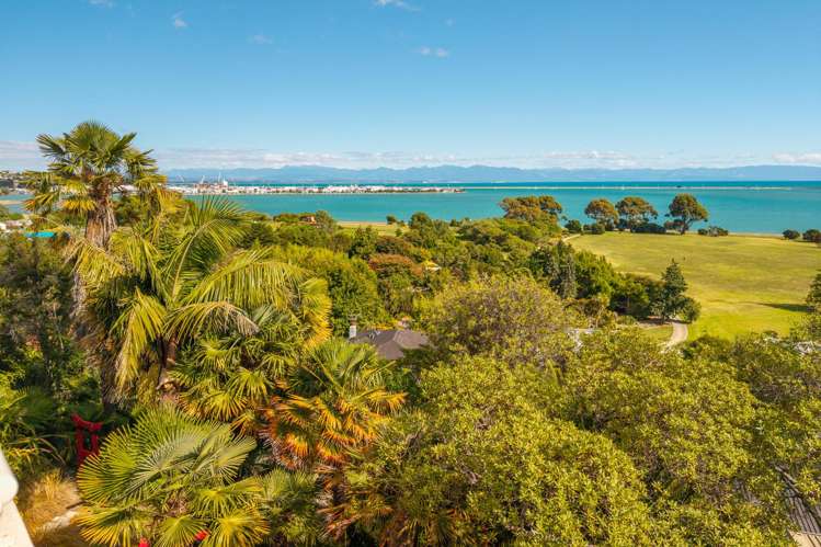 23A Walters Bluff Atawhai_8