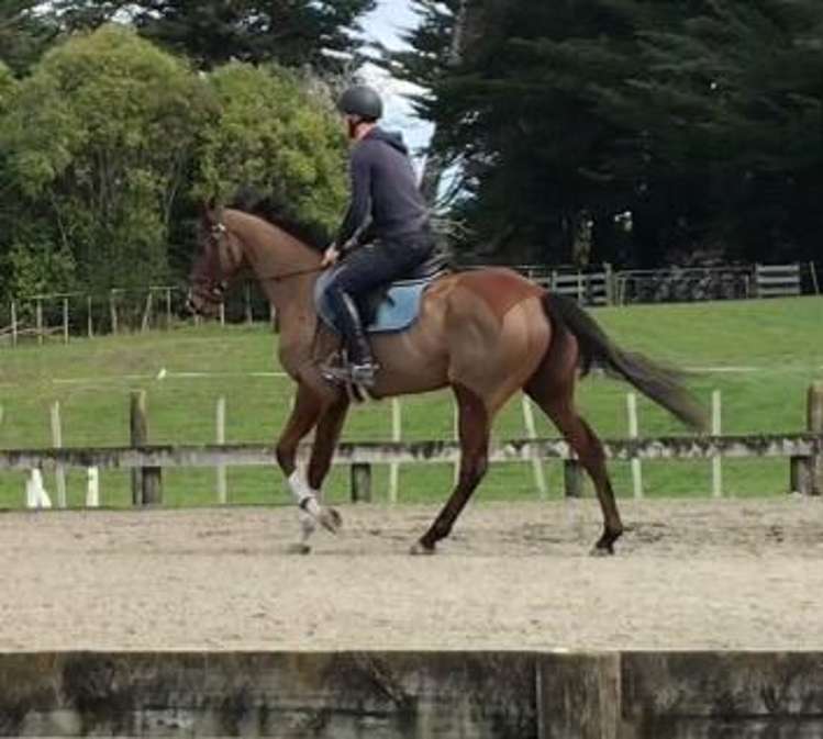 19 Valley Road Waitoki_34