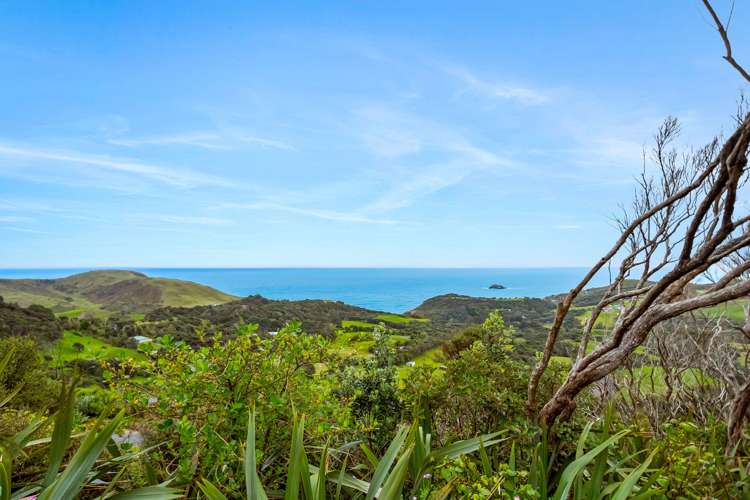 66 Constable Road Muriwai_9