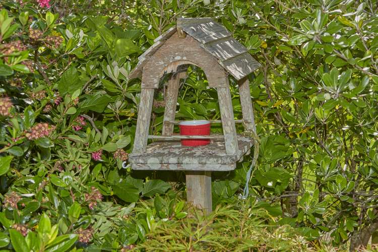 869 Woodcocks Road Kaipara Flats_20