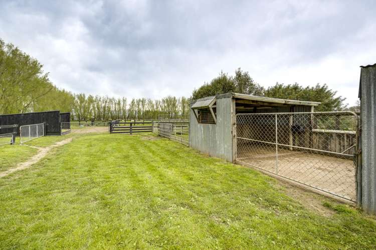 510 Wall Road Raureka_26