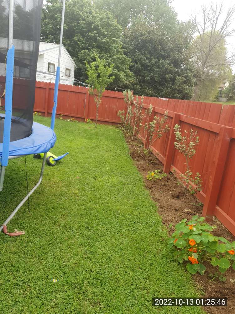 17a Edwards Court Pukekohe_1