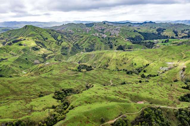 783 Glenroy Road Whangara_3