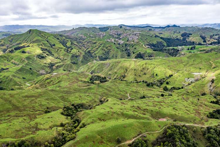 783 Glenroy Road Whangara_3