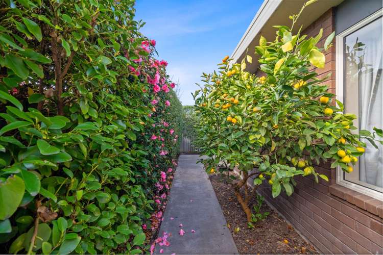 9 Hope Street Shirley_32