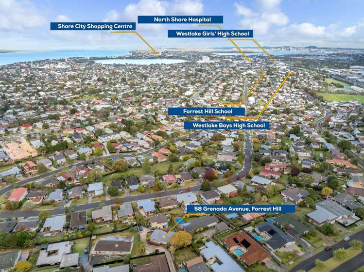 58 Grenada Avenue Forrest Hill_24