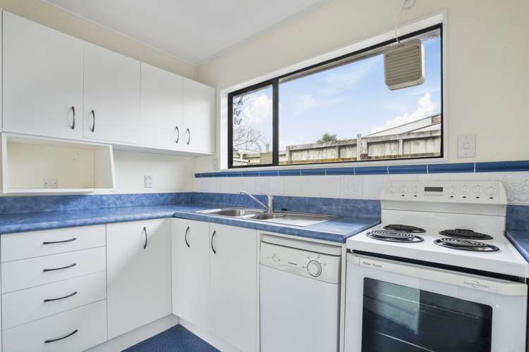 28a Richmond Street Petone_8