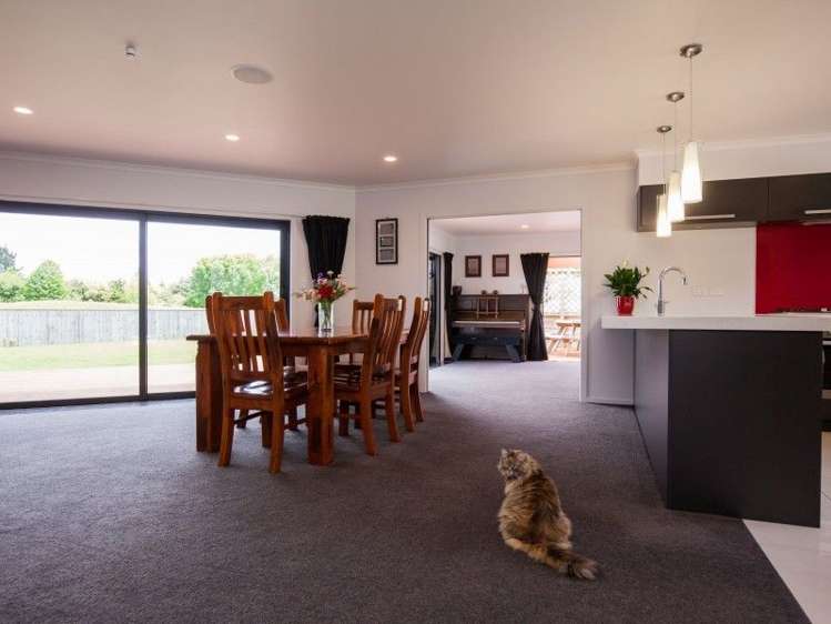 295 Opunake Road Cardiff_9