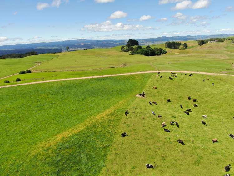 537 Tapuwae Road Benneydale_15