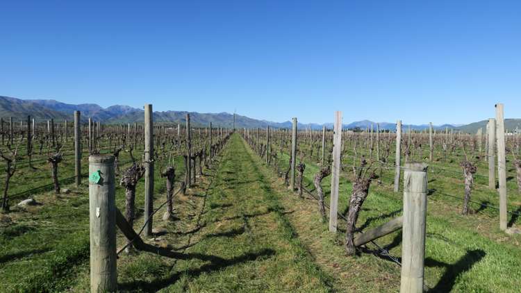 708 Waihopai Valley Road Waihopai Valley_20