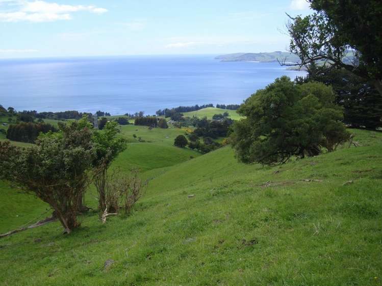 94 Stead Road Evansdale_9