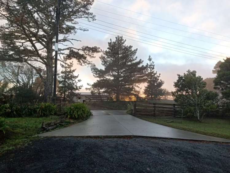 376 Bawden Road Dairy Flat_7