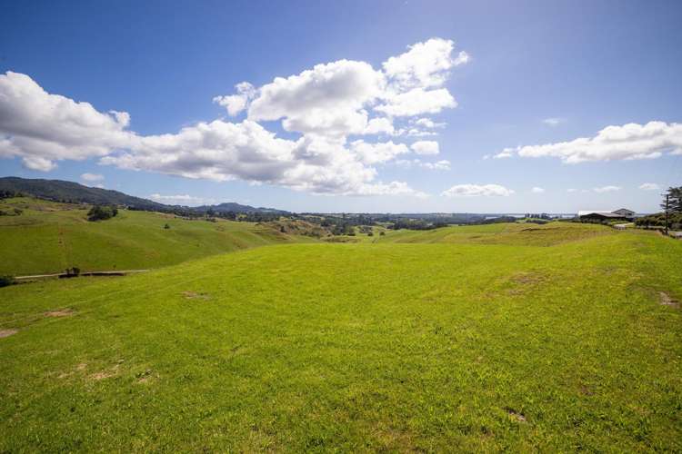 250 Busby Road Katikati_7