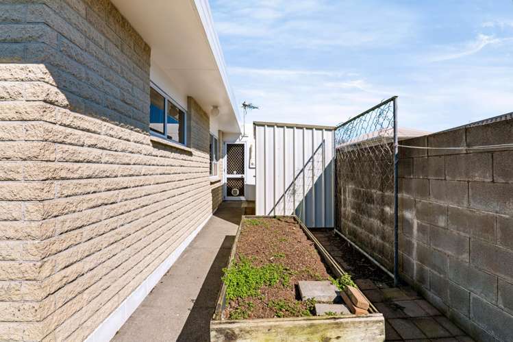 13B Huatoki Street Vogeltown_22