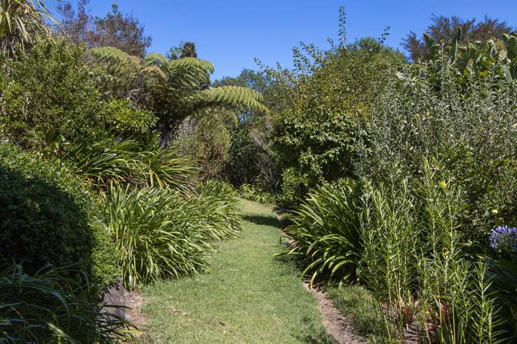 429B Omokoroa Road Omokoroa_25