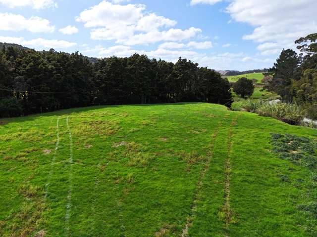 Lot 1 Porter Road Paparoa_2