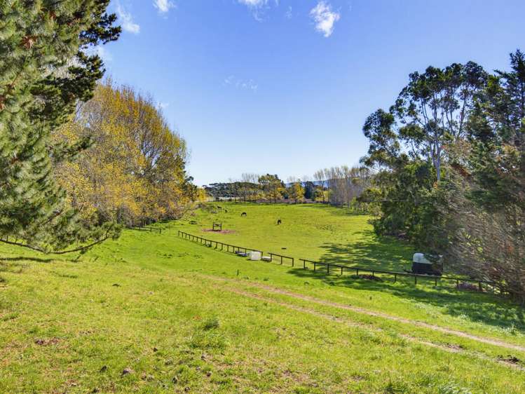167 Otaihanga Road Otaihanga_13