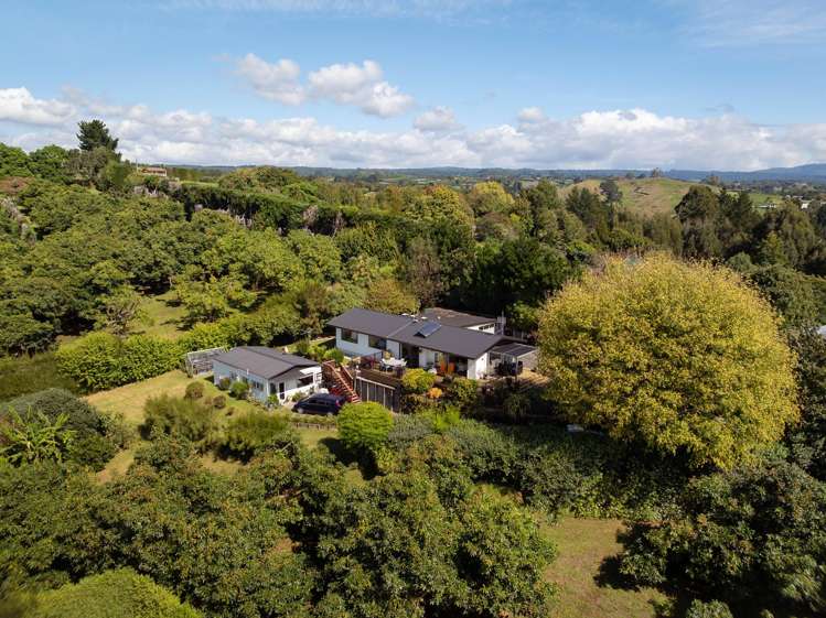 313 Youngson Road Whakamarama_25