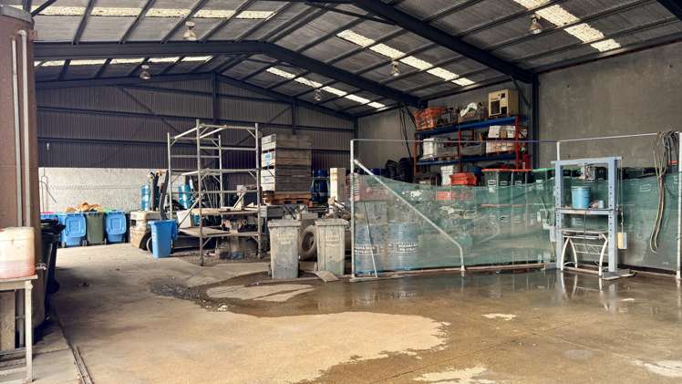 6 Macrae Avenue Mt Maunganui_9