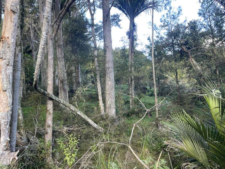 Horeke Road Horeke_12