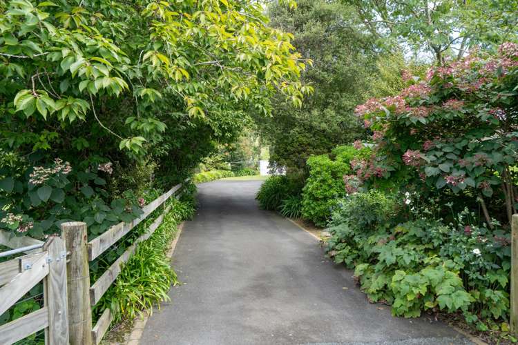 443 Scotsman Valley Road Tauwhare_13