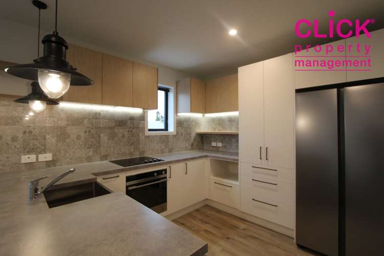 87 Maitland Street Dunedin Central_0