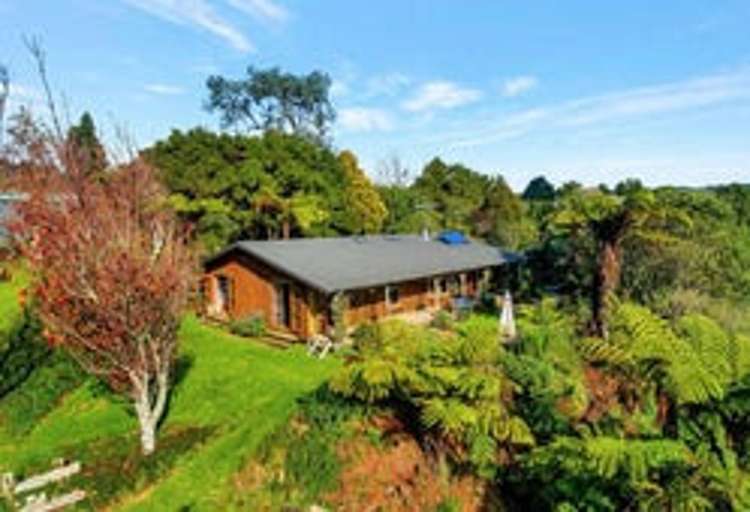 399 Wainui South Road Whakamarama_12