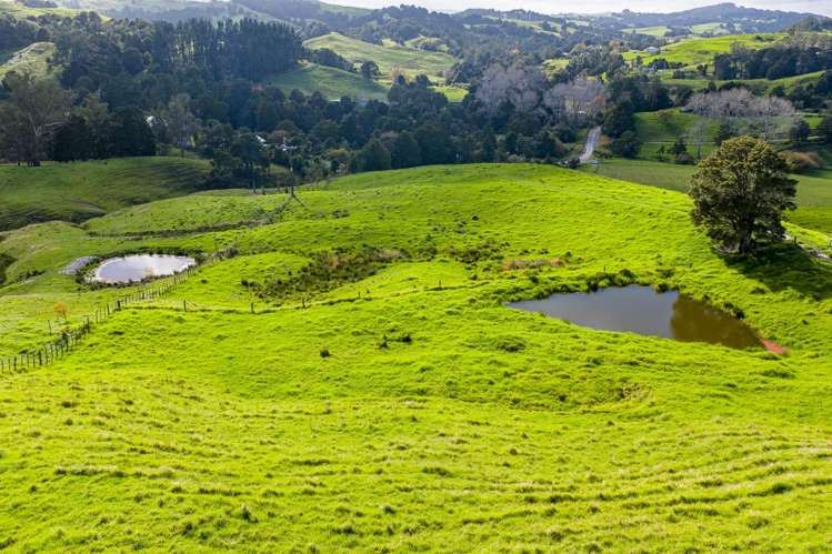 118 Paparoa Station Road Paparoa_8