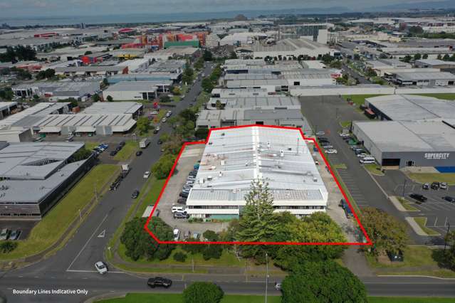 43 Druces Road Wiri_1