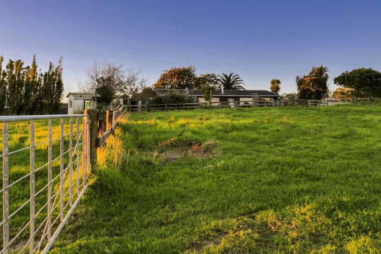 231 Nixon Road Taupaki_4