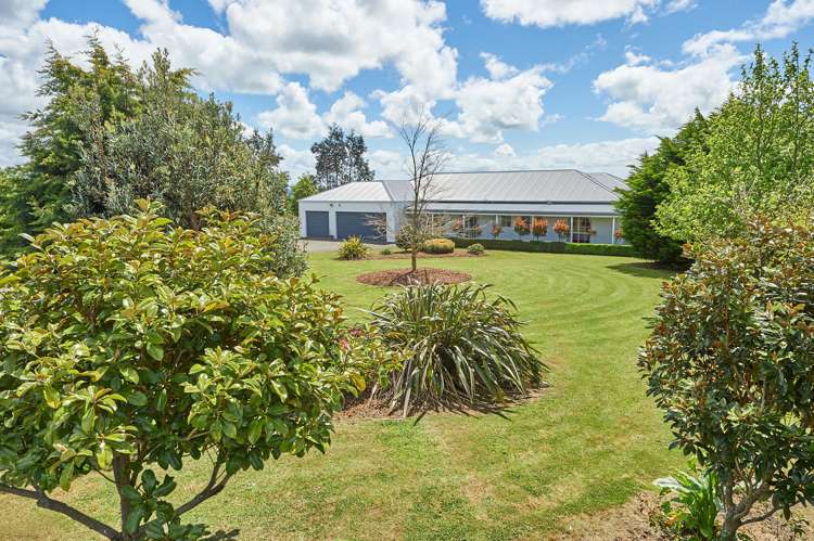 55 Polson Hill Drive Aokautere_5