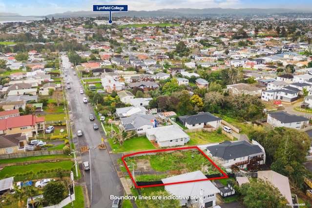 49 Webster Avenue Mount Roskill_4