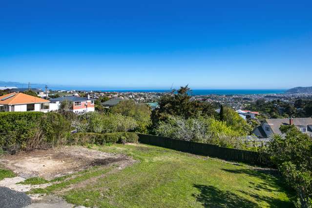 9a Scobie Road Waverley_4