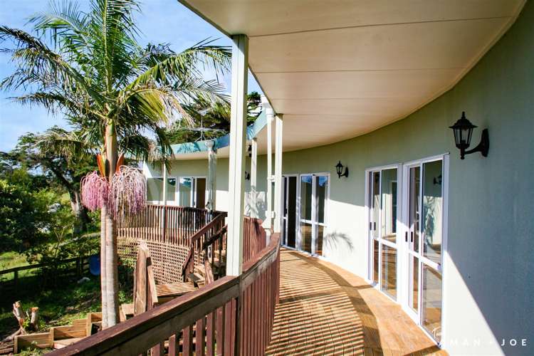 218 Postman Road Dairy Flat_8