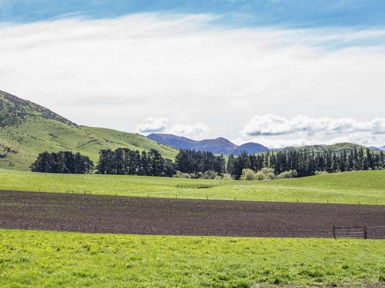 230 Taruna Road Hawarden_23