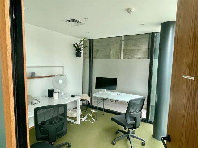 5 Crummer Road Grey Lynn_4