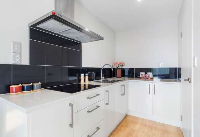 33 Springside Drive Flat Bush_1