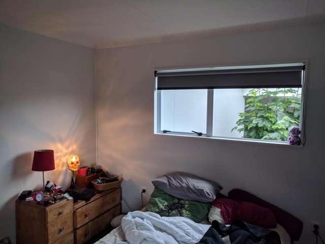  C/7 Saxton Street Levin_3