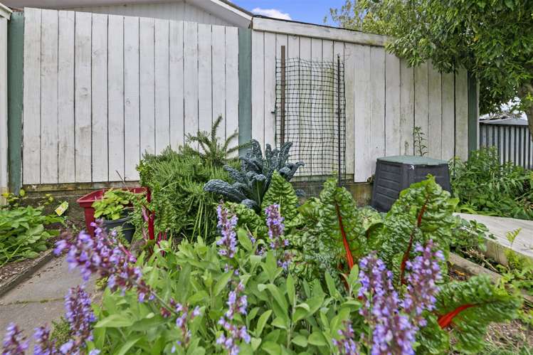 3a Wavell Place Putaruru_4