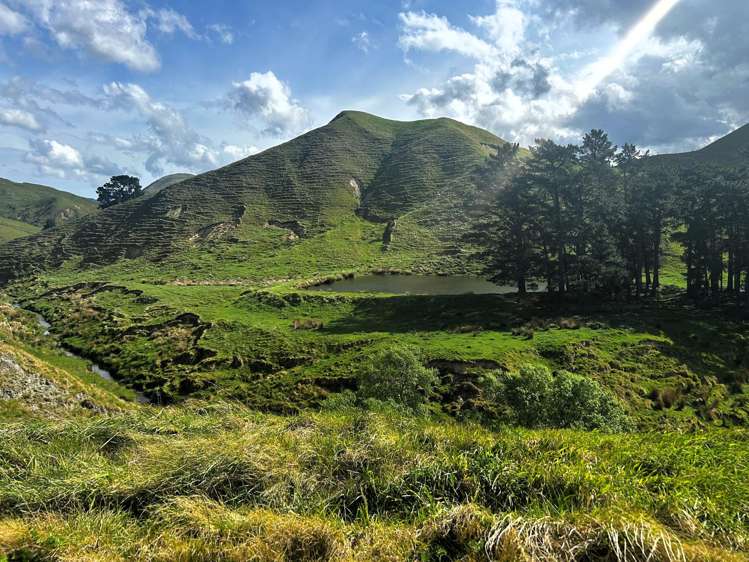 2269 Coast Road Pongaroa_20