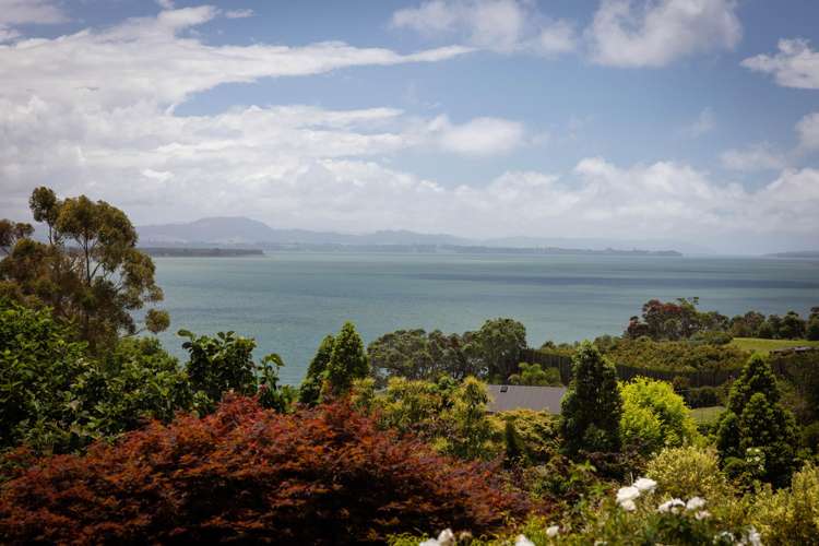 289 Pahoia Road Whakamarama_12