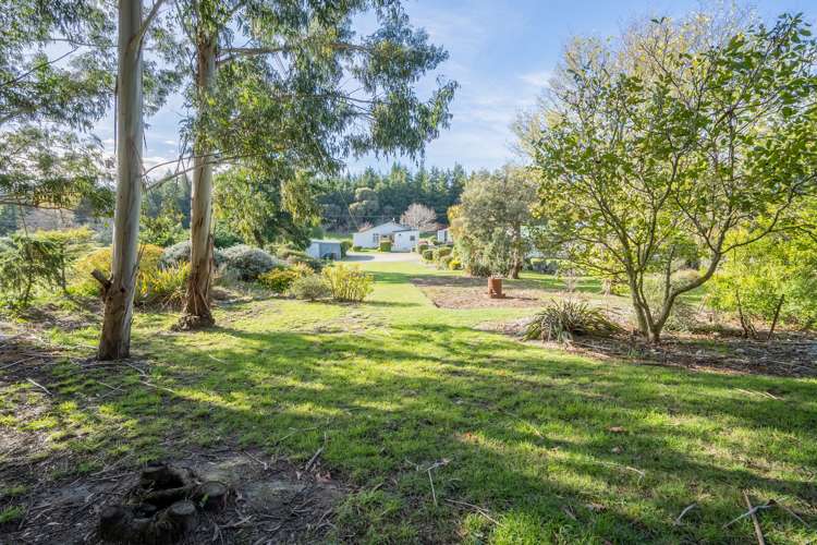 171 Scotland Street Roxburgh_21