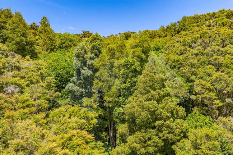 100 Shieling Road Waipu_12