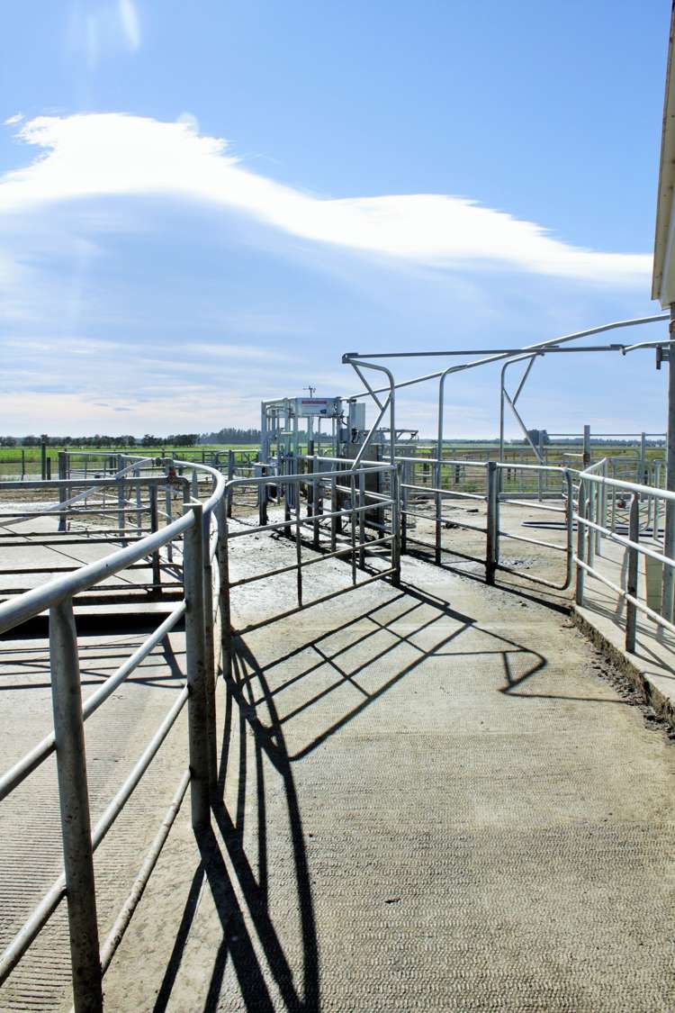 1062 Carleton Road Oxford_3