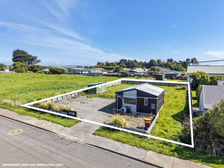 119 Wicklow Street Clifton_11